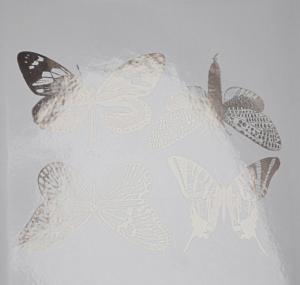 Grosse Schmetterlinge - Platin