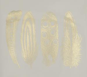 Fjädrar 2 - Platina