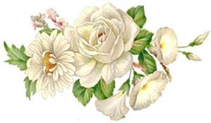 White Mist - 70 x 40 mm - 10 pcs