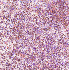 Holographic - Fairy Pink