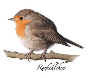 Rotkehlchen 70 mm - 1 Stk