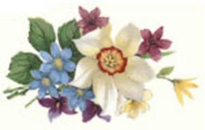 Spring - 50 mm - 10 pcs