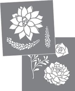 Succulents set of 2