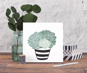 Succulents set of 2