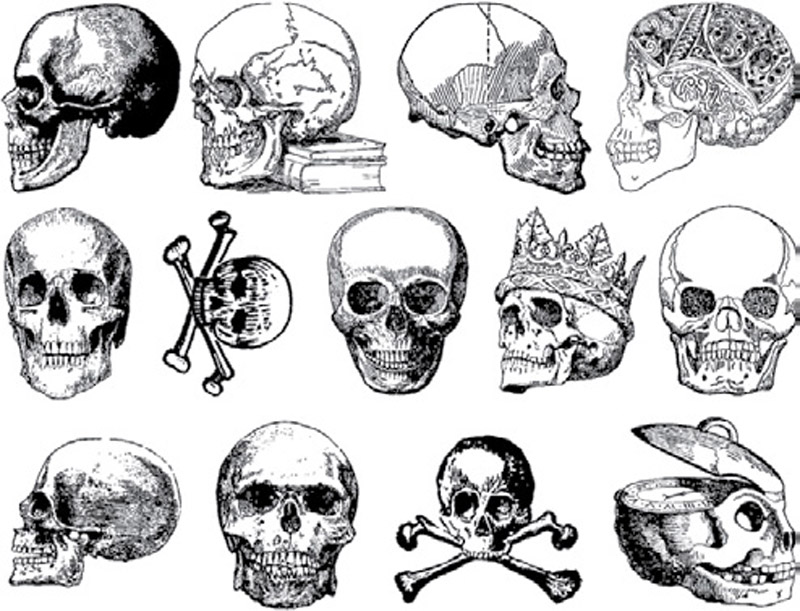 Dödskallar - Platina