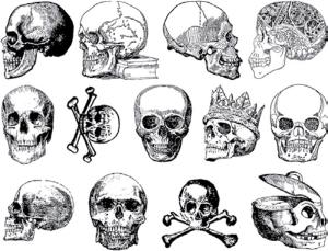 Dödskallar - Platina