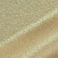 Metallic Champagne