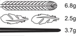 Silikonform Federn