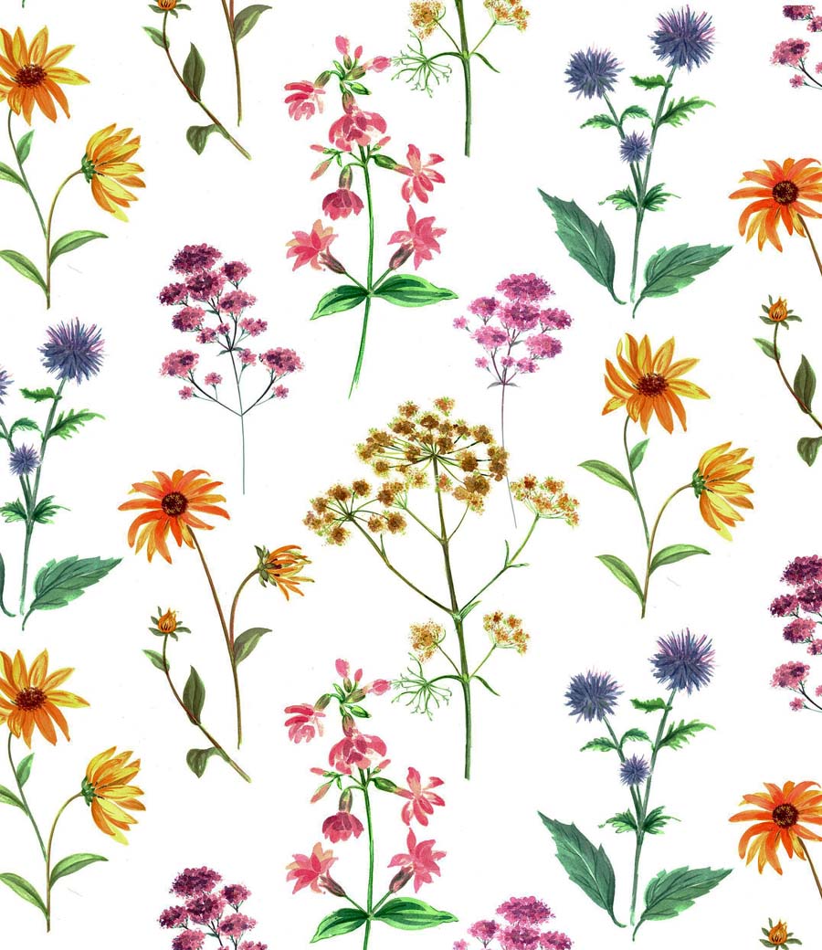 Wild Flowers 70x50cm