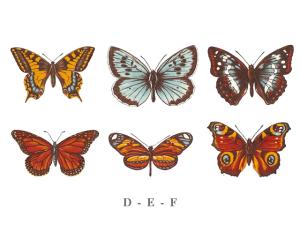Schmetterlinge - 50 mm - Set mit 6 Stk