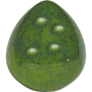 Spotted Kiwi