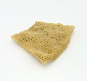 Natrual elephant ear Sponge