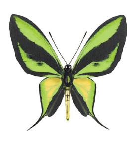 Grüner Schmetterling- 45 mm - 10 Stk