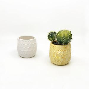 Honeycomb Planter - 8 pcs