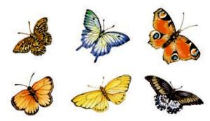 Schmetterlinge - 35 mm - Bogen mit 24 Stk