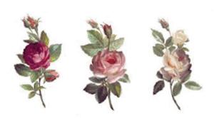 Flower Basket 30 mm - Sheet with 6 pcs