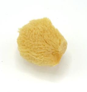 Kleines Naturschwämmchen