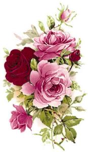 Summertime - 135 mm - 1 pcs