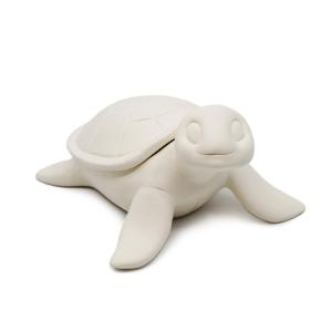 Sea Turtle Box - 6 pcs