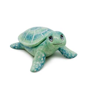 Sea Turtle Box - 6 pcs