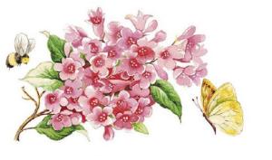 Pink Flowers - 95 mm - 1 pc