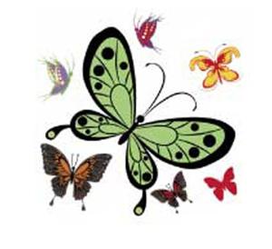 Schmetterlinge - 4 set mit 7 Stk