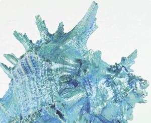 Extreme Sheen - Mermaid Dreams - set