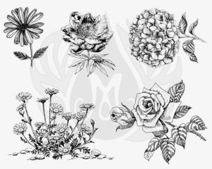 Flowers XL