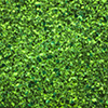 SoSoft - Golden Jade - Glitter