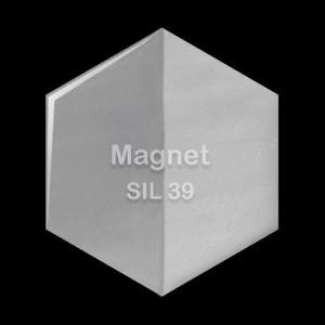 Magnet