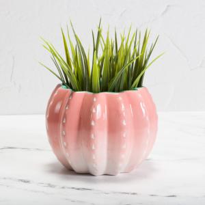 Cactus Planter - 6 pcs