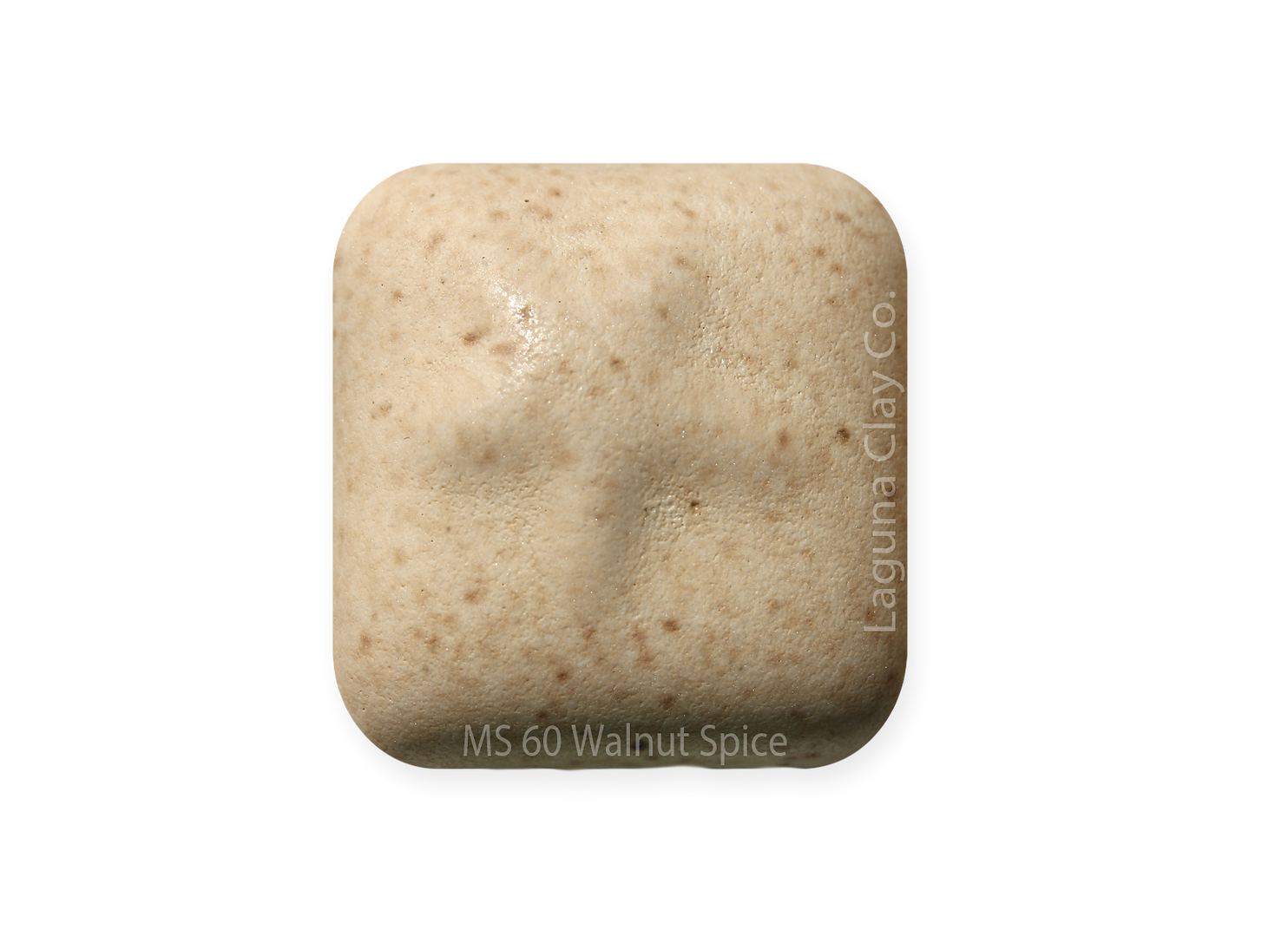 Walnut Spice