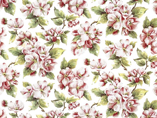 Apple Blossom 70X50 cm