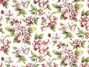 Apple Blossom 70X50 cm