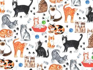 Cats 70x50cm