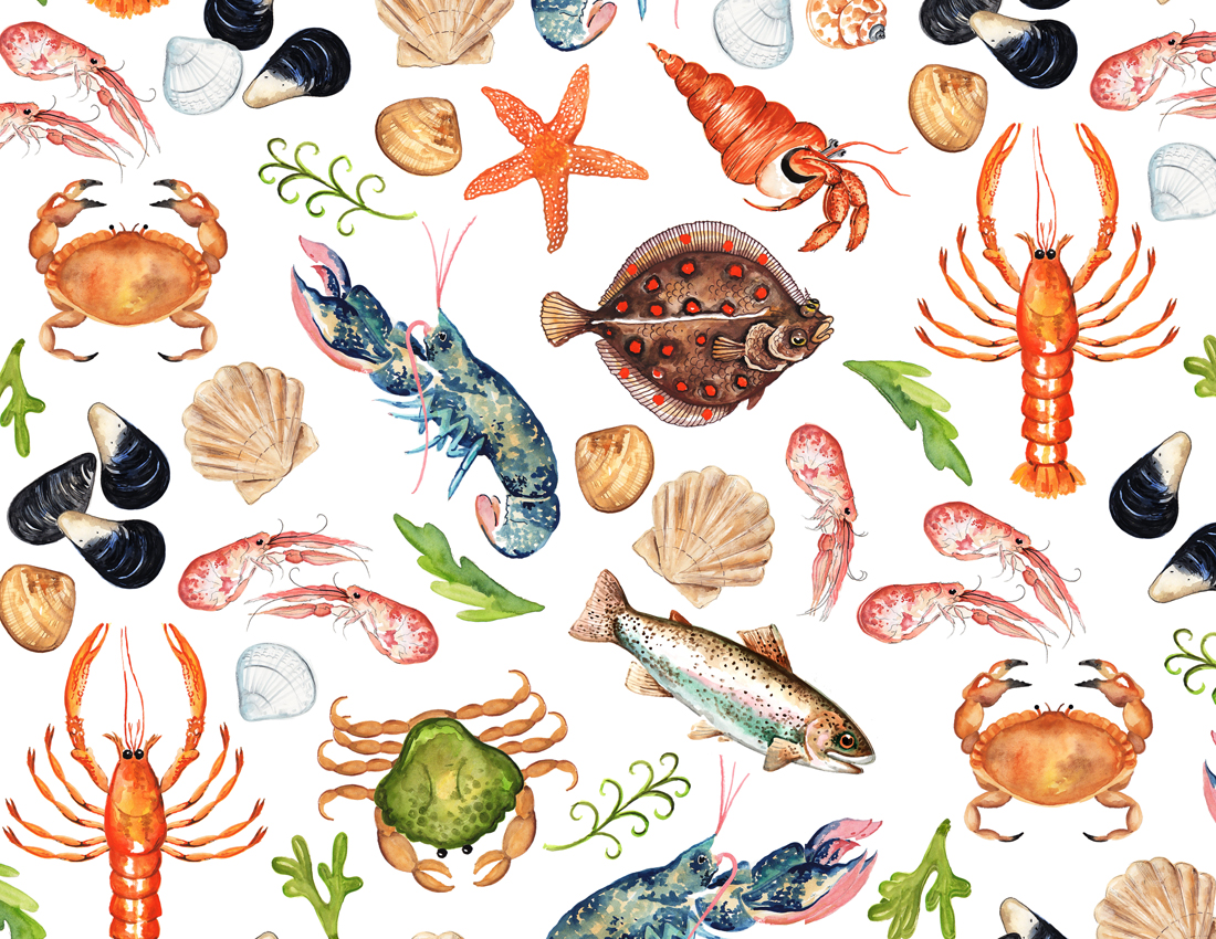 Sea Life 70x50cm