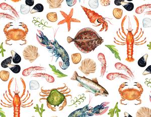 Sea Life 70x50cm