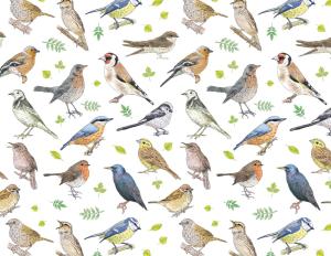 Singvögel 70x50cm