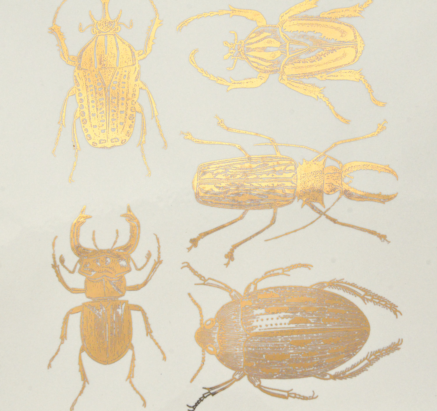 Grosse Käfer - Gold