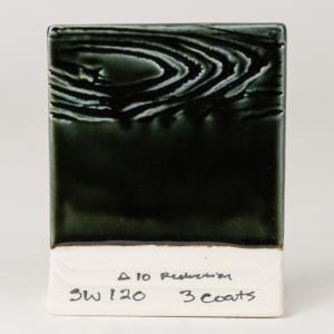 Northern Woods - Dry