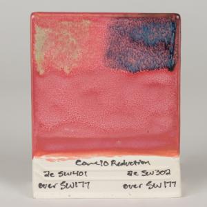Raspberry Mist