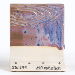 Purple Aster - Dry 4,5 kg