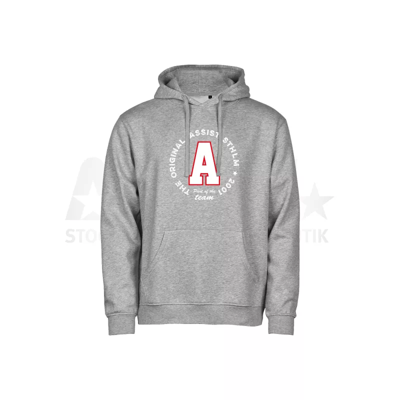 Product Image for ASSIST ORIGINAL HOODY GRÅ (XS)