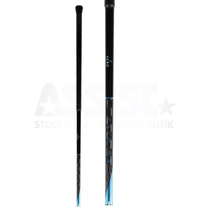 Product Image for SALMING P-SERIES AERO 29 SHAFT (100CM)