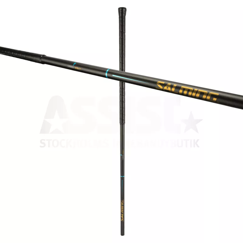 Product Image for SALMING P-SERIES CARBON IMPACT 29 (100CM)