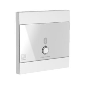 Audac WP220 Bluetooth anslutningspanel - Universal