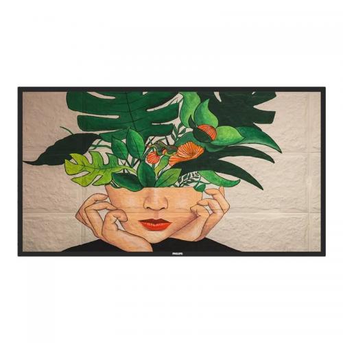 Philips Signage Solutions 50" D-Line