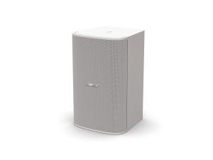 Bose DesignMax DM10S-SUB