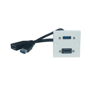 Exxact Uttagspanel DisplayPort + USB