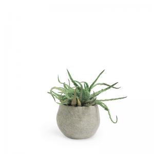 Small rounded flower pot in concrete grey made of wool.